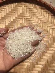 Rice 100% Broken - Best Quality Viet Nam/ 100% Natural Rice Pure Low Price From A High Reputation Ri - Image 6